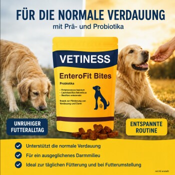 Gelbe VETINESS EnteroFit Bites-Tasche, Kroketten und zwei Golden Retriever; sichtbarer Text ‚Für die normale Verdauung‘.