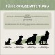 Bild eines Teams aus einem Tiergeschäft mit Hunden, mit dem Text "ES WIRD ERNST. LERN UNS KENNEN" und Details über ihre Produkte, die mit Liebe in Deutschland hergestellt werden.