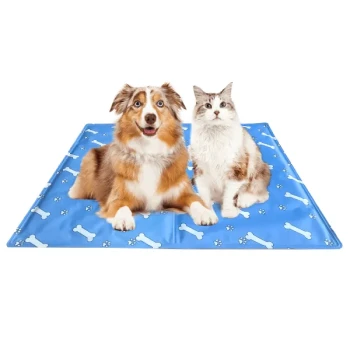 Ein Hund und eine Katze sitzen nebeneinander auf einer blauen Haustiermatte, die mit weißen Knochen- und Pfotenabdrücken dekoriert ist.