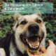 Ein lächelnder Hund mit einer Hand, die sein Kinn hält, umgeben von Grün. Text: "Zur Reinigung von Zähnen und Zahnfleisch."
