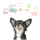 Un Chihuahua joyeux avec une moustache joueuse, entouré de textes colorés sur les avantages des soins pour animaux.