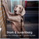 Großer Hund mit Leine steht vor einer Backsteinmauer, Text lautet „Stark & zuverlässig, Ideal für mittelgroße & große Hunde.“