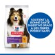 Sac de nourriture pour chiens Hill's Science Plan avec un colley souriant, étiqueté 'Estomac & Peau Sensibles', avec un cercle bleu indiquant le soutien à la santé digestive.