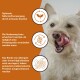 Ein glücklicher, hellfarbener Hund, der sich die Lippen leckt, begleitet von Text, der optimale Ernährung, leichte Verdauung und reduziertes Allergierisiko hervorhebt.