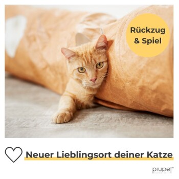 Katze, die aus einem gemütlichen, aufgerollten Papprohr schaut, mit Textüberlagerung: "Rückzug & Spiel" und "Neuer Lieblingsort deiner Katze."
