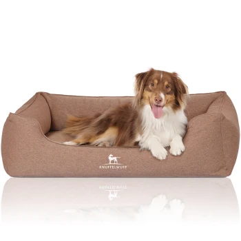 Orthopädisches Hundebett Leano aus Velours mit Handwebcharakter hellbraun XXXL Ein glücklicher braun-weißer Hund, der auf einem gemütlichen, braunen Hundebett mit dem Logo "KNUFFELWUFF" auf der Vorderseite entspannt.