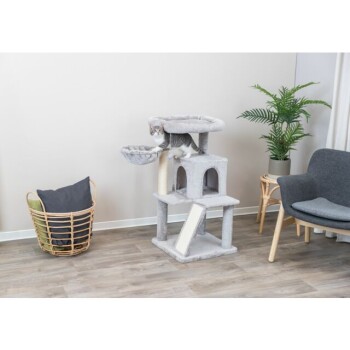 Eine graue Katze klettert auf einen mehrstöckigen Katzenbaum mit einer gemütlichen oberen Liegefläche und einer Hängematte, neben einem Korb mit Kissen und einem Stuhl.