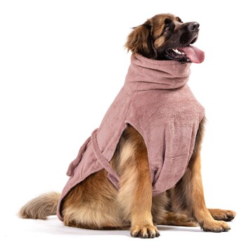 Ein großer Hund, der einen weichen, rosa handtuchartigen Bademantel trägt, sitzt aufrecht und sieht glücklich aus mit herausgestreckter Zunge.