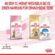 Drei Royal Canin Katzenfutterbeutel: "Kitten Sterilised", "Maine Coon" und "Home Life Indoor", mit einem Hinweis, nach 12 Monaten auf Erwachsenenfutter umzusteigen.