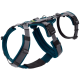 Ein türkisfarbener und grauer Hundegeschirr mit verstellbaren Riemen und gepolstertem Design, mit einem Metall-D-Ring zur Leinenbefestigung.