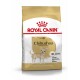 Royal Canin Adult Chihuahua Hundefuttertüte mit einer Chihuahua-Illustration, beschriftet für Hunde über 8 Monate alt.