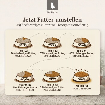 Futterumstellungs-Guide für Katzen: 90/10 (Tag 1–3), 75/25 (4–6), 60/40 (7–9), 40/60 (10–12), 25/75 (13–15), 100 % (ab Tag 16)