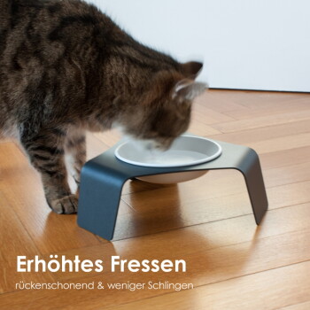 Eine hellgraue Katze sitzt neben einer modernen Futterschüssel auf einem Holzboden, mit einer großen grünen Pflanze dahinter. Text: "Stabil & sicher für stressfreies Essen."