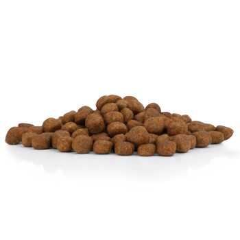 Ein Haufen brauner Haustierfutterkibble auf einer reflektierenden Oberfläche, der die kleinen, runden Formen der Stücke zeigt.