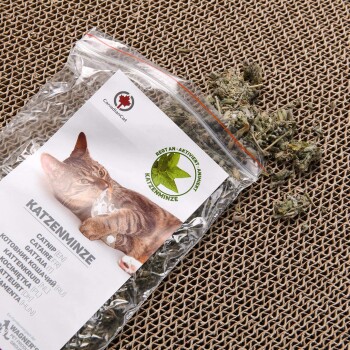 Eine durchsichtige Plastiktüte mit Katzenminze, beschriftet mit "Katzenminze", mit einer verspielten getigerten Katze auf der Vorderseite, verstreute getrocknete Katzenminze auf einer strukturierten Oberfläche.