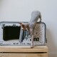 Eine Sphynx-Katze klettert verspielt auf eine dekorative Dose mit der Aufschrift 'Sardinen in Olivenöl', mit sichtbarem Text, der ein Nettogewicht von 3,75 oz angibt.