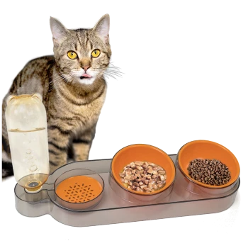 Getigerte Katze mit gelben Augen neben einem dreiteiligen Futterspender mit Wasser, Nass- und Trockenfutter auf weißem Hintergrund.