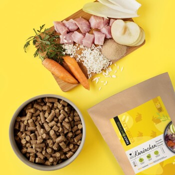 Schüssel mit braunem Pellet-Haustierfutter, frische Zutaten auf Schneidebrett und FAVLY PETFOOD Kaninchenfutterbeutel auf gelbem Hintergrund.