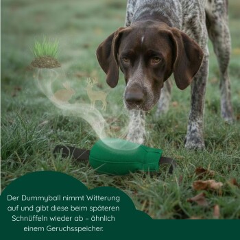 Grün-rotes Stoff-Hundezerrspielzeug mit Seilgriff und Kunststoffgriff, neben einer 1-Euro-Münze zum Größenvergleich.