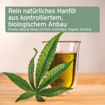 Rein natürliches Hanföl aus kontrolliertem, biologischem Anbau; Glas mit Hanföl neben einem grünen Hanfblatt auf einer Holzoberfläche.