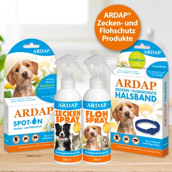 Bild von ARDAP Haustierpflegeprodukten: Spot-On Behandlung, Zeckenspray, Flohspray und Flohhalsband, alle mit Anweisungen und Inhaltsstoffen beschriftet.