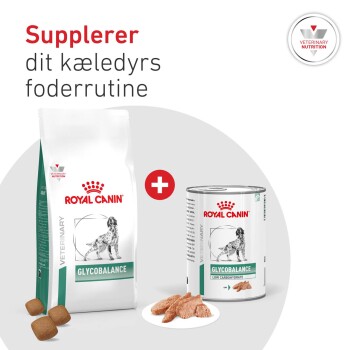 Royal Canin Glycobalance-Trockenfuttersack und Dose mit Kroketten und feuchten Stücken, Pluszeichen; Text „Supplerer dit kæledyrs foderrutine“.