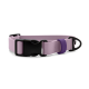 Hellviolettes Hundehalsband mit schwarzer Schnellverschlussschnalle aus Kunststoff, violetter Verstellschlaufe und schwarzem D‑Ring vor weißem Hintergrund.