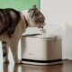Katze trinkt Wasser aus einem PETLIBRO automatischen Haustier-Wasserspender auf einem Holzboden.