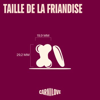 Icônes de friandises couleur crème (os, bâton) étiquetées 19,9 mm × 29,2 mm avec texte « TAILLE DE LA FRIANDISE » et « CARNILOVE »
