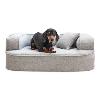 LOTTE VISCO PLUS - Orthopädisches Hundesofa grau/ grau 80 cm, 30 cm, 60 cm Ein schwarz-tan Dachshund steht auf einem gemütlichen grauen Haustierbett mit einem kleinen Kissen und schaut neugierig in die Kamera.
