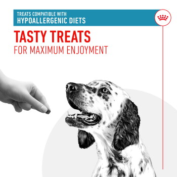 A hand presents a treat to a happy spotted dog, with text: "Hypoallergenic treats" and "Tasty for maximum enjoyment."