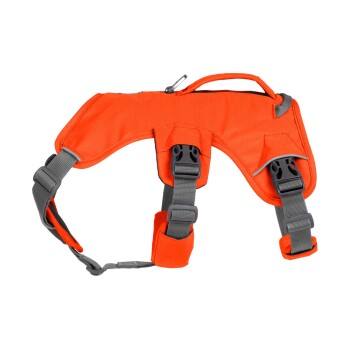 Helle orangefarbene Hundegeschirr mit grauen Riemen und verstellbaren Schnallen, mit einem Griff oben für einfache Kontrolle.