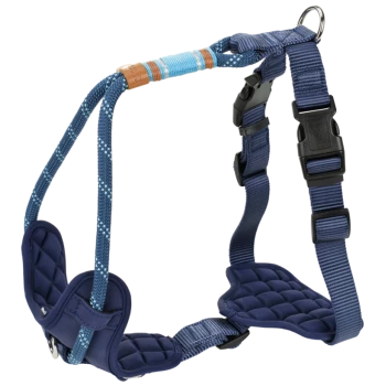 Harnais rembourré bleu pour chien avec sangles réglables, boucle en plastique noire, anneau métallique et une corde bleue avec une étiquette marron.