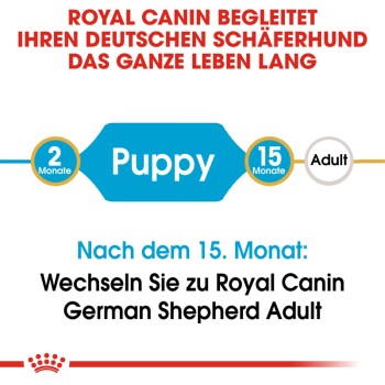 Royal Canin-Leitfaden für Deutsche Schäferhunde, der die Fütterungsphasen angibt: 'Welpe' für 2 Monate, 'Erwachsener' nach 15 Monaten.