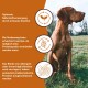 Brauner Hund auf einem Feld neben einem orangefarbenen Panel mit deutschen Nährwertaussagen und einem ALLERGIC-Symbol.