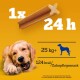 Zahnpflege Dentastix Daily Oral Care Multipack Maxi, 42x