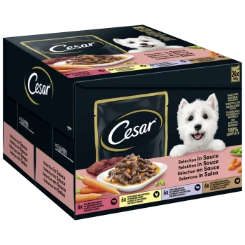 Cesar hondenvoer variëteitspakket met een lachende witte hond, met 24 x 100g zakjes in saus, inclusief rundvlees, kip, lam en kalkoen.