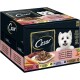 Cesar Hundefutter-Variationen-Packung mit einem lächelnden weißen Hund, mit 24 x 100g Beuteln in Sauce, einschließlich Rind, Huhn, Lamm und Truthahn.