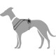 Illustration eines grauen Hundes mit einem Geschirr, das das Design und die Passform des Geschirrs am Körper des Hundes zeigt.