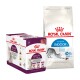 Emballage de nourriture pour animaux Royal Canin présentant une boîte de 12 sachets Sensory et un sac de nourriture sèche Indoor 27, mettant en avant la nutrition pour la santé féline.