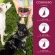 Eine Frau mit langen Haaren hält eine schwarze Katze neben einem großen Hund in einem Garten mit lila Blumen und zitiert die Tierpraktikerin Lena Huber über Wolfsbacher Natur.
