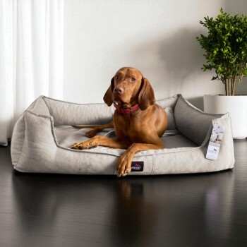 Brauner Hund mit rotem Halsband liegt auf einem hellgrauen Haustierbett mit der Aufschrift „Serlando“ auf dunklem Boden neben einer Topfpflanze.