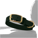 Ein stilvoller dunkelgrüner Haustierhalsband mit einer goldenen Schnalle und D-Ring, auf einem hellgrauen Hintergrund präsentiert.