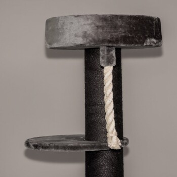 Grauer und schwarzer Katzenbaum mit einer plüschigen oberen Plattform, einem unteren Regal und einem Sisal-Seil zum Kratzen.