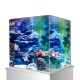 Ein lebendiges Aquarium, gefüllt mit buntem Korallen und Wasserpflanzen, das eine Vielzahl von Texturen und Farbtönen in einem klaren Tank zeigt.