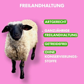 Ein Schaf auf einem rosa Hintergrund mit dem Text: "FREILANDHALTUNG", "ARTGERECHT", "GETREIDEFREI", "OHNE KONSERVIERUNGSSTOFFE."