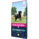 Eukanuba Premium Trockenfutter für große Hunderassen, mit einem schwarzen Labrador auf einer Wiese. 15kg, mit der Aufschrift "ADULT."