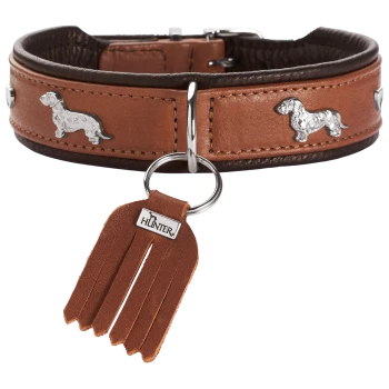 Zweifarbiges braunes Lederhalsband für Hunde mit silbernen Dackel-Nieten, Metall-O-Ring und Quastenanhänger mit Prägung „HUNTER“.
