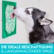 Ein sibirischer Husky leckt ein grünes wandmontiertes Spielzeug mit dem Text 'DIE IDEALE BESCHÄFTIGUNG & LANGANHALTENDER SPASS' darunter.