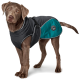 Ein brauner Hund, der einen stilvollen schwarzen und türkisfarbenen Hundemantel trägt, mit einem Logo an der Seite und einem sicheren Riemen zur Anpassung.